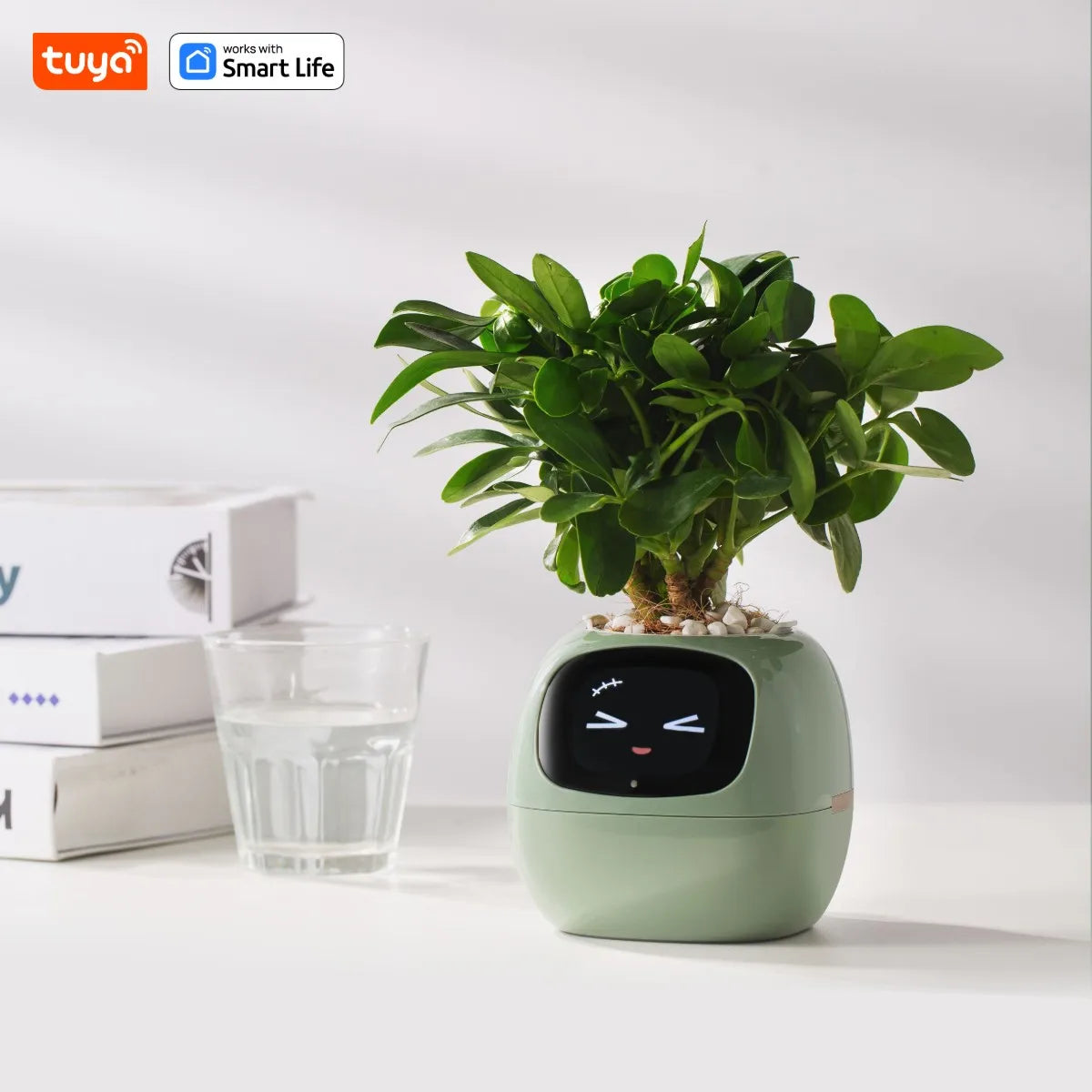 Ivy Smart Planter,Endless Fun Over 49 Rich Expressions,7 smart sensors,AI Chips Make Raising Plants Easy and Fun