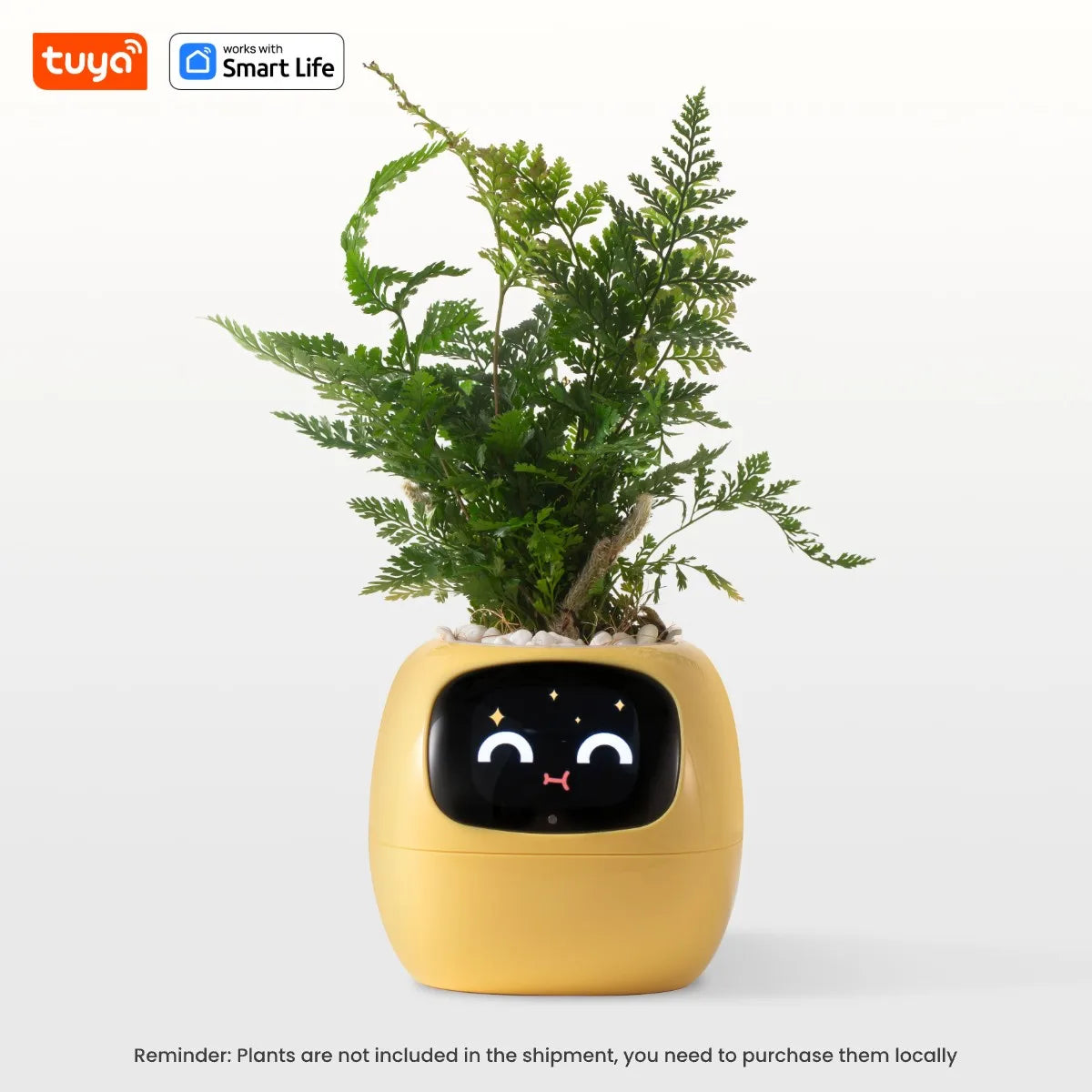 Ivy Smart Planter,Endless Fun Over 49 Rich Expressions,7 smart sensors,AI Chips Make Raising Plants Easy and Fun