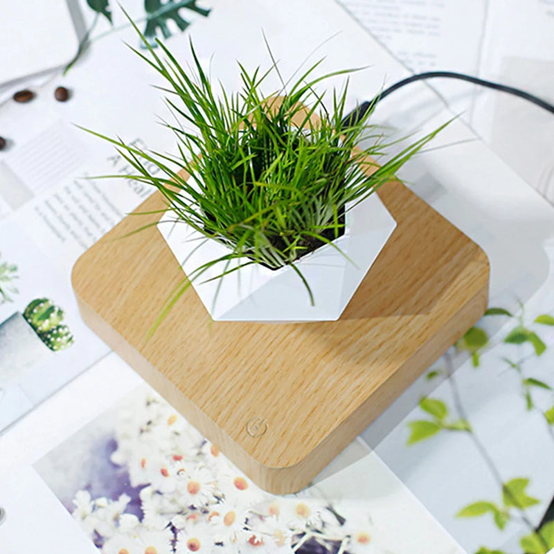 Levitating Air Bonsai Pot Rotation Planters Magnetic