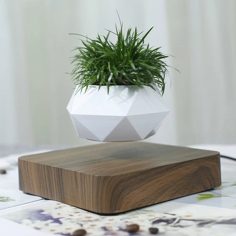 Levitating Air Bonsai Pot Rotation Planters Magnetic