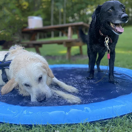 Inflatable Sprinkler Pad for Dogs – Outdoor Splash Pool & Cooling Water Play Mat (100/150/200cm)