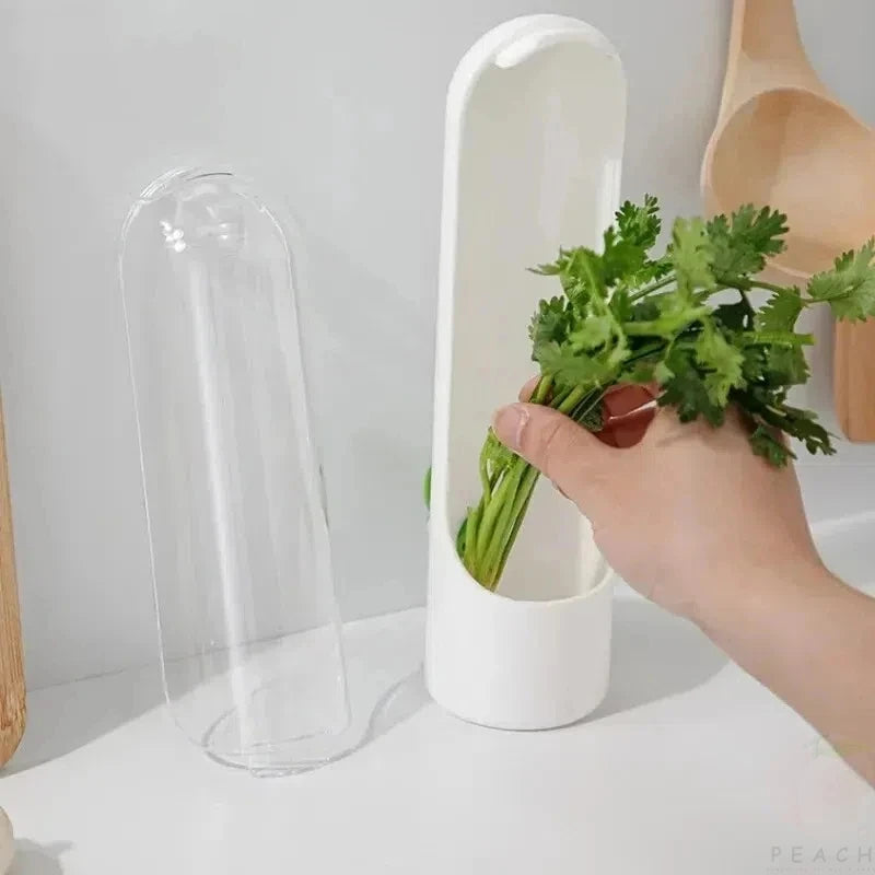 Cross-border Vanilla Vegetable Fresh