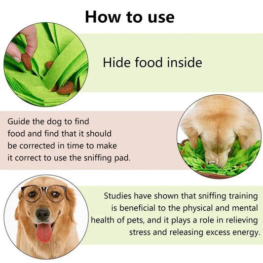 Interactive Snuffle Mat for Dogs