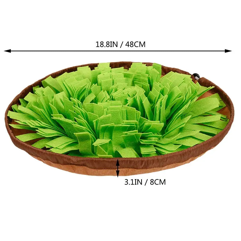 Interactive Snuffle Mat for Dogs