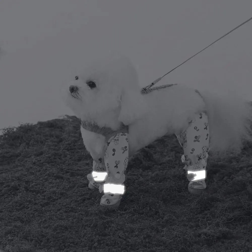 Pet Strolling Going Out Dust-proof Four Legged Pants Dog Boot Waterproof Leggings Dog Jumpsuit Shoes