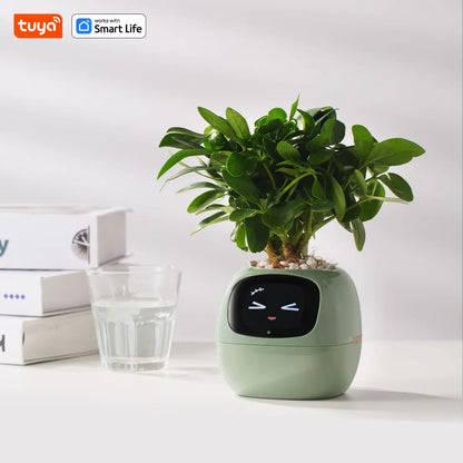 Ivy Smart Planter,Endless Fun Over 49 Rich Expressions,7 smart sensors,AI Chips Make Raising Plants Easy and Fun