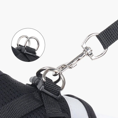 Reflective Escape-Proof Cat & Puppy Harness Set – Soft Mesh Vest