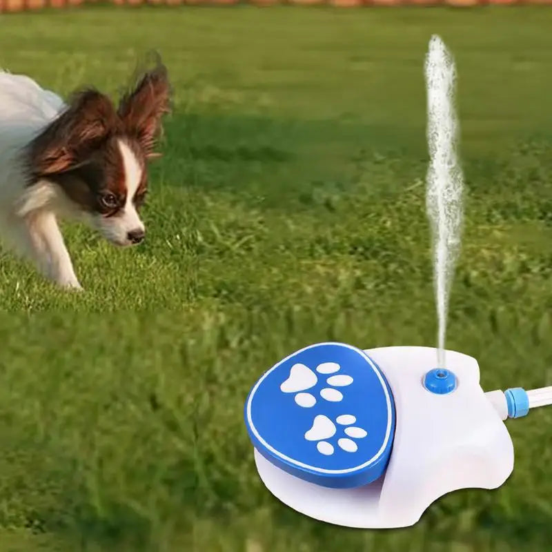 Dog Paw-Activated Water Fountain Sprinkler Toy – Outdoor Drinking & Cooling Pet Water Dispenser