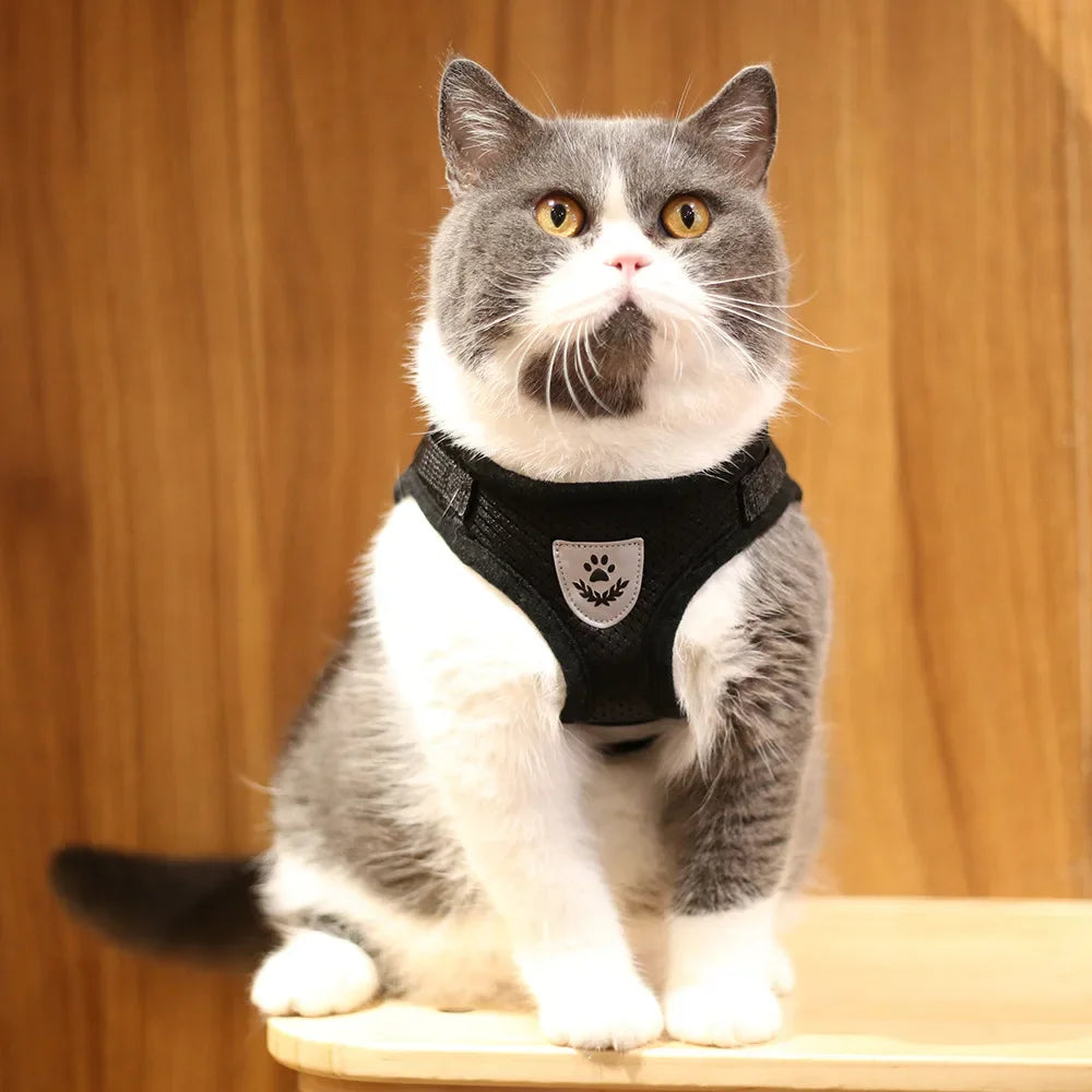 Reflective Escape-Proof Cat & Puppy Harness Set – Soft Mesh Vest