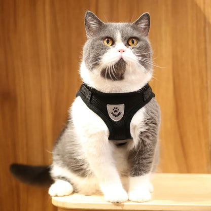 Reflective Escape-Proof Cat & Puppy Harness Set – Soft Mesh Vest