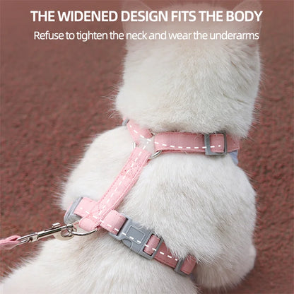 AirMesh Comfort Pet Harness & Leash Adventure Set