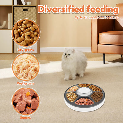 6-Meal Smart Automatic Pet Feeder