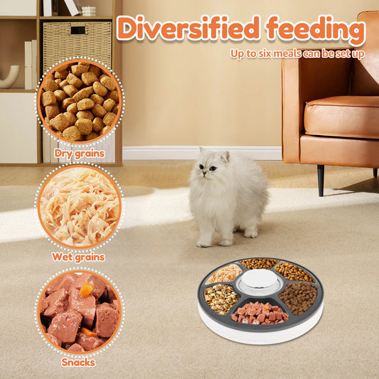 6-Meal Smart Automatic Pet Feeder
