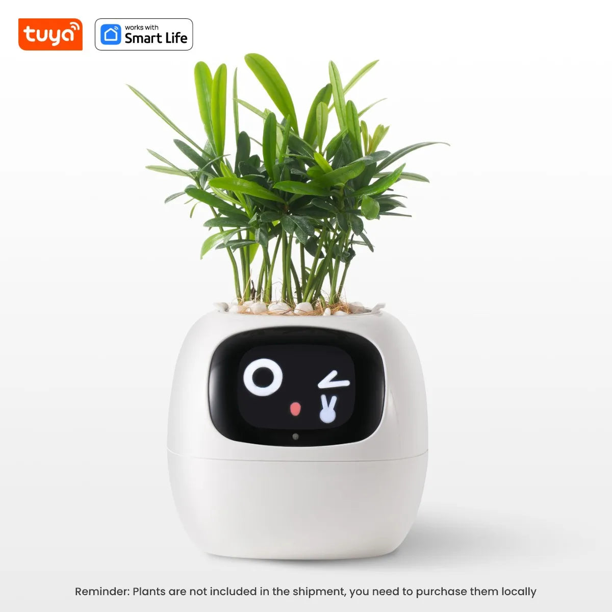 Ivy Smart Planter,Endless Fun Over 49 Rich Expressions,7 smart sensors,AI Chips Make Raising Plants Easy and Fun