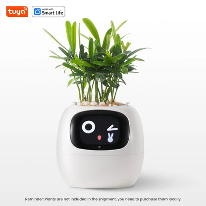 Ivy Smart Planter,Endless Fun Over 49 Rich Expressions,7 smart sensors,AI Chips Make Raising Plants Easy and Fun