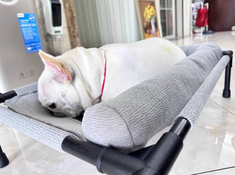 66CM Washable Mesh Elevated Dog Bed – Breathable Raised Cooling Pet Bed with Pillow for Indoor & Outdoor Use
