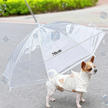 Transparent Dog Umbrella Leash