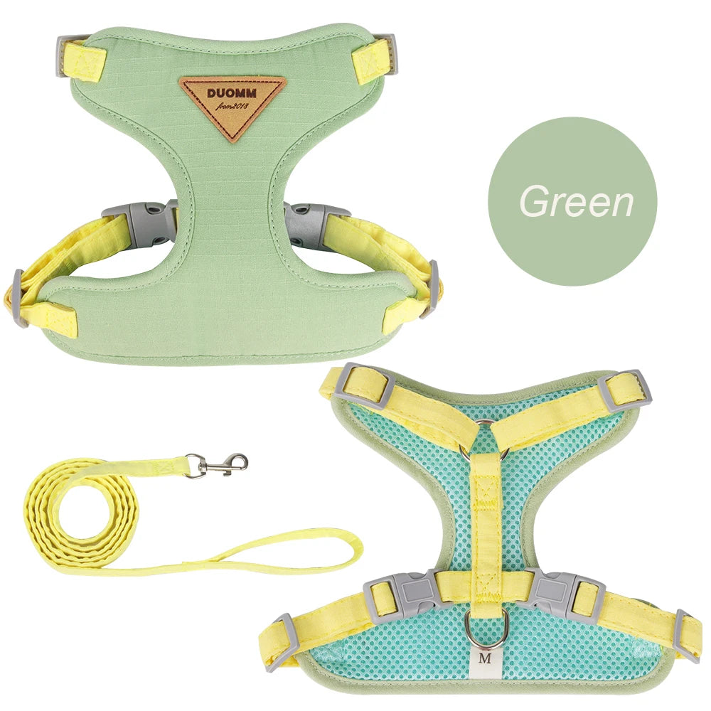 AirMesh Comfort Pet Harness & Leash Adventure Set