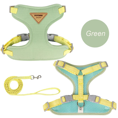 AirMesh Comfort Pet Harness & Leash Adventure Set