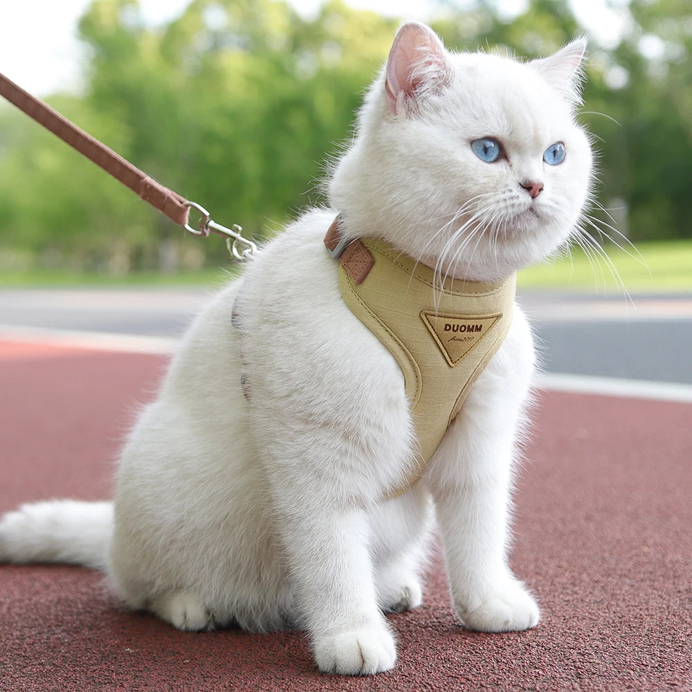 AirMesh Comfort Pet Harness & Leash Adventure Set
