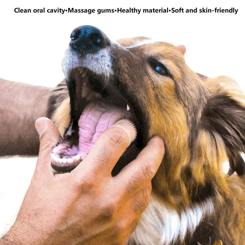 Dental Pro 3-Piece Fingertip Set – Precision Pet Toothbrushes