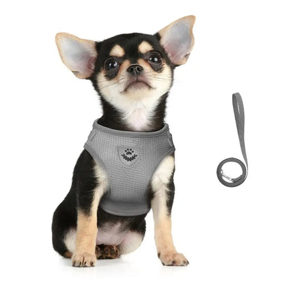 Reflective Escape-Proof Cat & Puppy Harness Set – Soft Mesh Vest