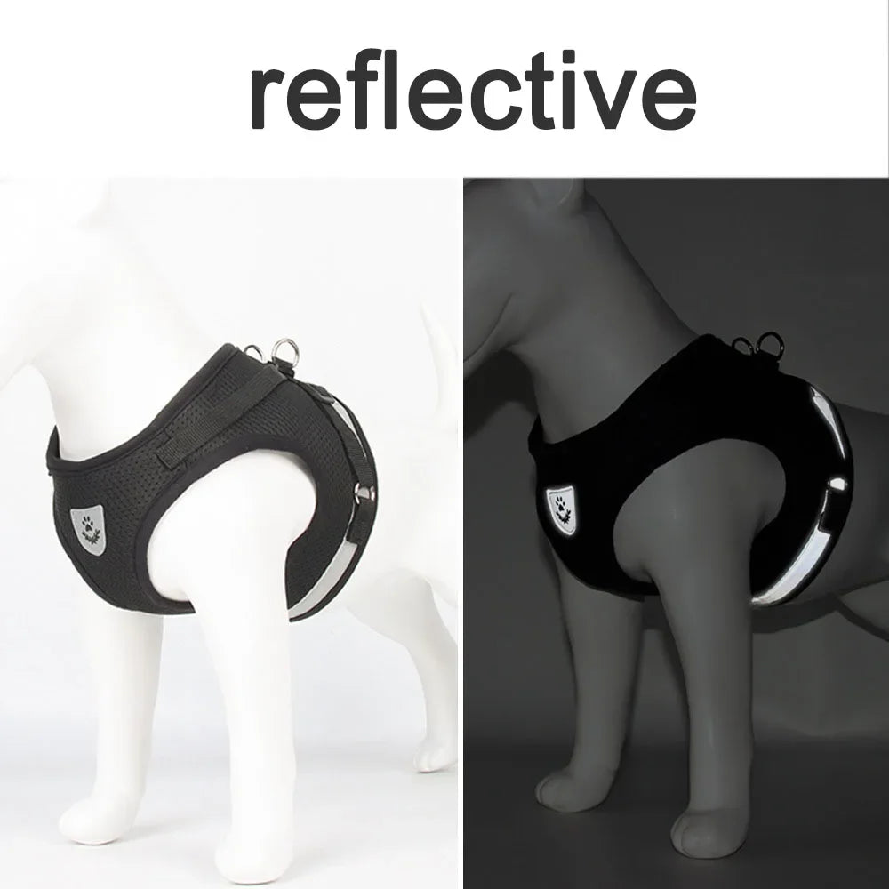 Reflective Escape-Proof Cat & Puppy Harness Set – Soft Mesh Vest
