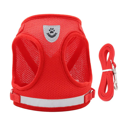Reflective Escape-Proof Cat & Puppy Harness Set – Soft Mesh Vest