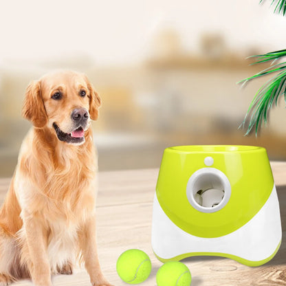 Mini-Slam Interactive Ball Launcher – Desktop Pinball Catapult for Pets