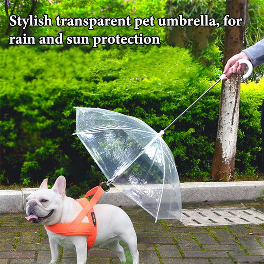 Transparent Dog Umbrella Leash