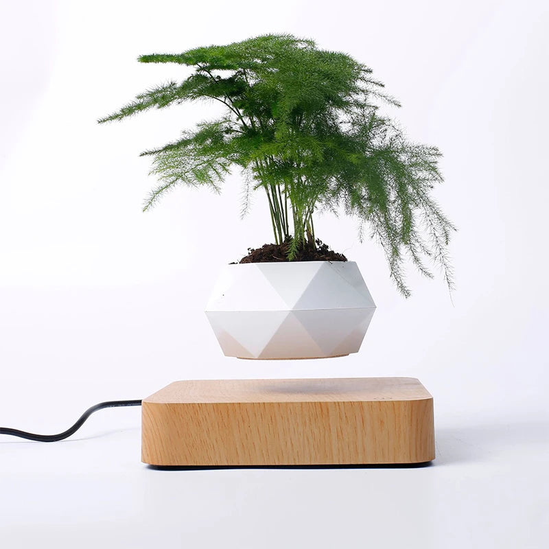 Levitating Air Bonsai Pot Rotation Planters Magnetic