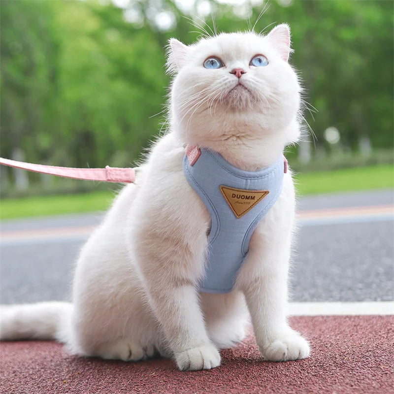 AirMesh Comfort Pet Harness & Leash Adventure Set
