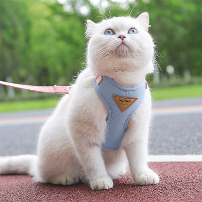 AirMesh Comfort Pet Harness & Leash Adventure Set