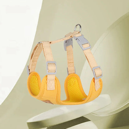 AirMesh Comfort Pet Harness & Leash Adventure Set