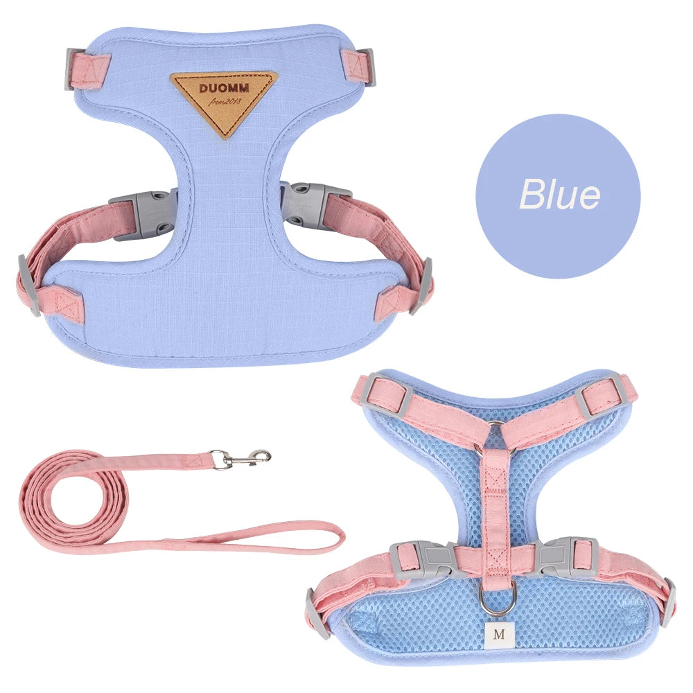 AirMesh Comfort Pet Harness & Leash Adventure Set