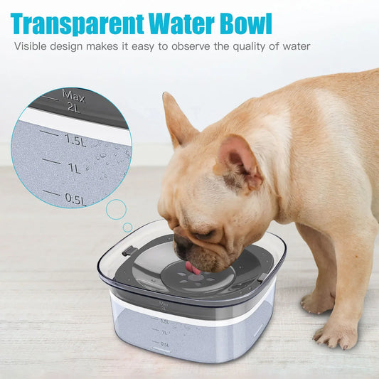 70oz/3L Transparent Dog Water Bowl