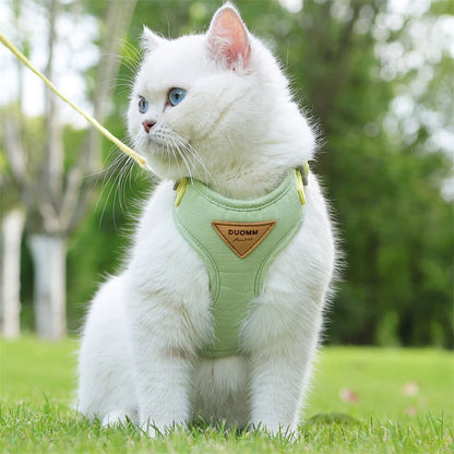 AirMesh Comfort Pet Harness & Leash Adventure Set