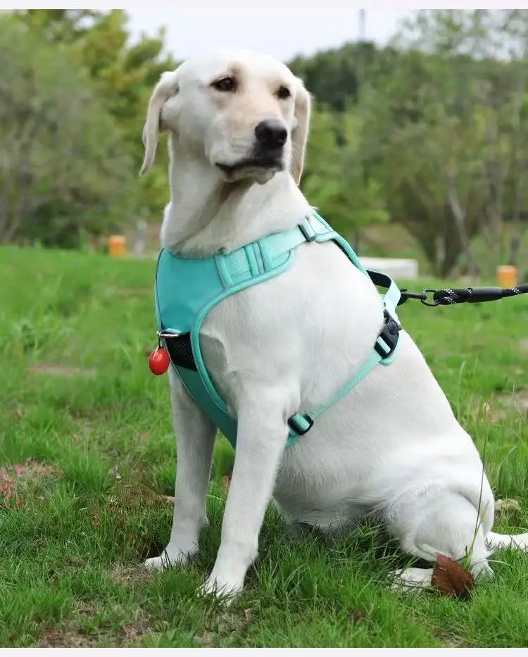 Track Guard Dog Harness