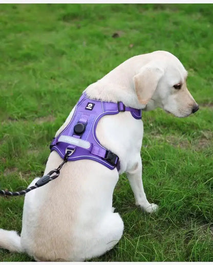 Track Guard Dog Harness