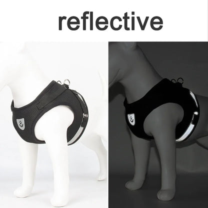 Reflective Escape-Proof Cat & Puppy Harness Set – Soft Mesh Vest