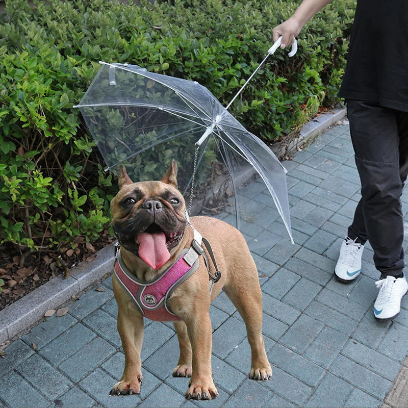 Transparent Dog Umbrella Leash