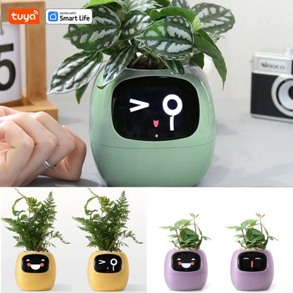 Ivy Smart Planter,Endless Fun Over 49 Rich Expressions,7 smart sensors,AI Chips Make Raising Plants Easy and Fun