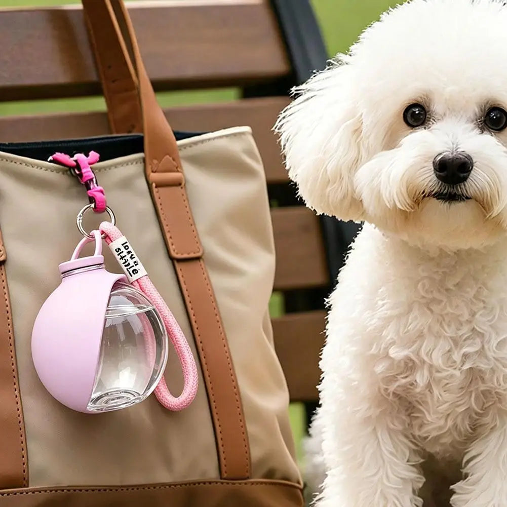 2-in-1 Portable Foldable Dog Water Bottle