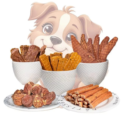 Pet Dog Snacks Delicious Beef Jerky