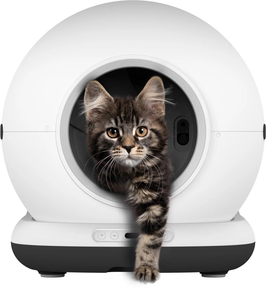 Smart App-Controlled Self-Cleaning Litter Box – Open-Top & Odor-Free
