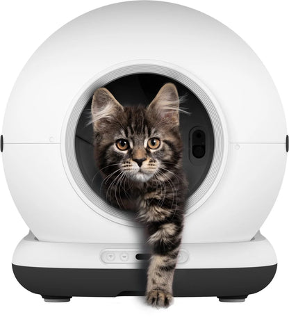 Smart App-Controlled Self-Cleaning Litter Box – Open-Top & Odor-Free