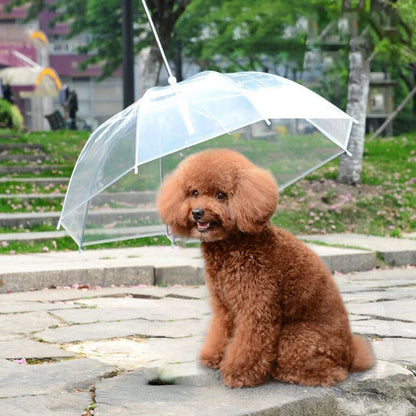 Transparent Dog Umbrella Leash