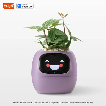 Ivy Smart Planter,Endless Fun Over 49 Rich Expressions,7 smart sensors,AI Chips Make Raising Plants Easy and Fun
