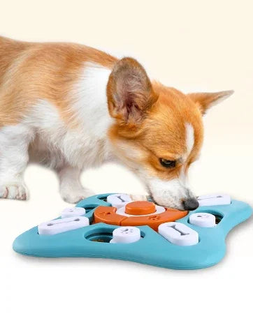 IQ-Master Multi-Level Puzzle – Interactive Slow Feeder & Enrichment Toy