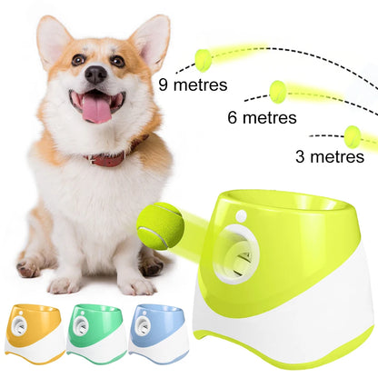 Mini-Slam Interactive Ball Launcher – Desktop Pinball Catapult for Pets
